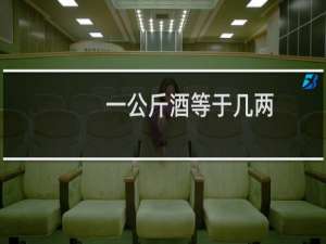 一公斤酒等于几两