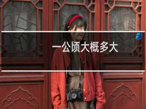 一公顷大概多大