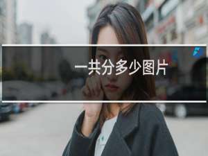 一共分多少图片