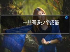 一共有多少个成语