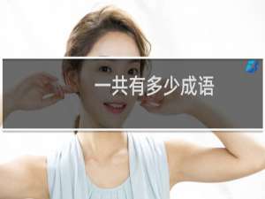 一共有多少成语