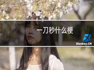 一刀秒什么梗