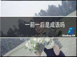 一前一后是成语吗