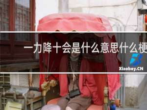 一力降十会是什么意思什么梗