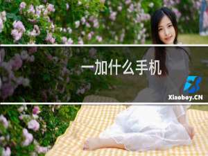 一加什么手机