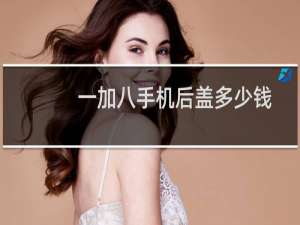 一加八手机后盖多少钱