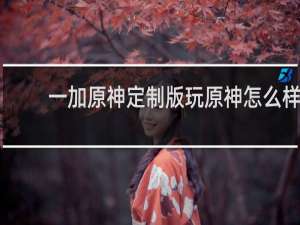 一加原神定制版玩原神怎么样