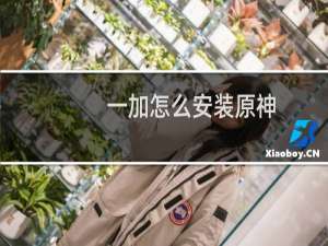 一加怎么安装原神