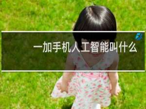 一加手机人工智能叫什么