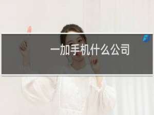 一加手机什么公司