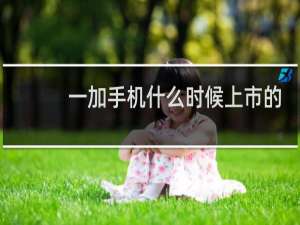 一加手机什么时候上市的