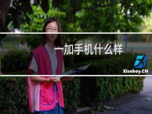 一加手机什么样