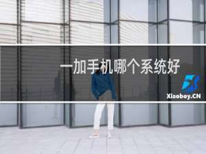 一加手机哪个系统好