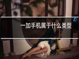 一加手机属于什么类型