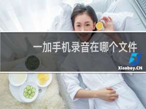 一加手机录音在哪个文件夹