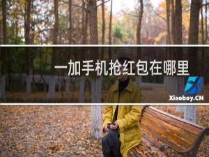 一加手机抢红包在哪里