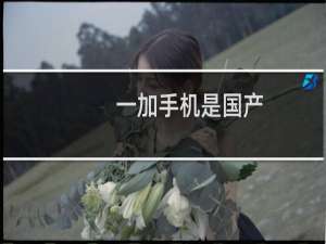 一加手机是国产