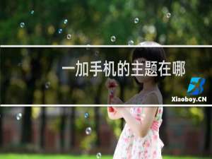 一加手机的主题在哪