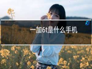 一加6t是什么手机