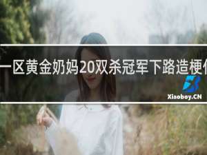 一区黄金奶妈 双杀冠军下路造梗什么梗