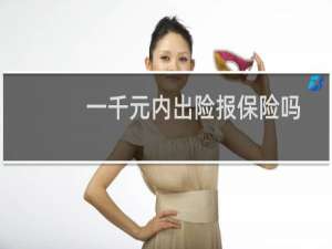一千元内出险报保险吗