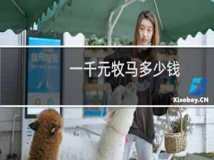 一千元牧马多少钱