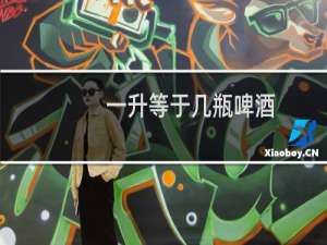 一升等于几瓶啤酒