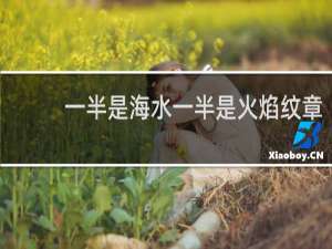 一半是海水一半是火焰纹章