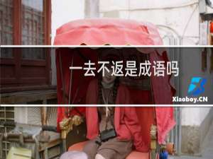 一去不返是成语吗