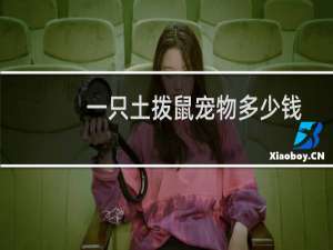 一只土拨鼠宠物多少钱