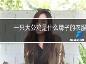 一只大公鸡是什么牌子的衣服
