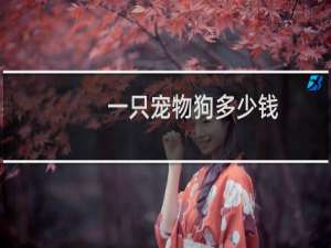 一只宠物狗多少钱
