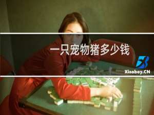 一只宠物猪多少钱