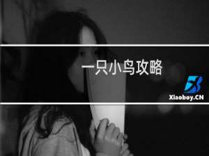 一只小鸟攻略