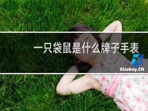 一只袋鼠是什么牌子手表