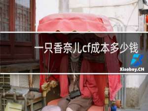 一只香奈儿cf成本多少钱