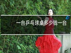 一台乒乓球桌多少钱一台