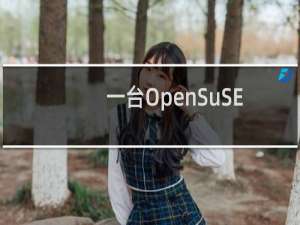 一台OpenSuSE系统的服务器的网络配置
