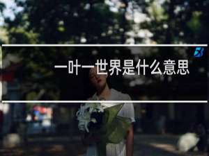 一叶一世界是什么意思