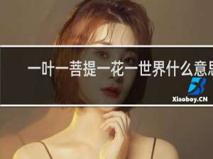 一叶一菩提一花一世界什么意思