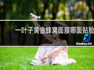 一叶子黄金蜂窝面膜哪面贴脸