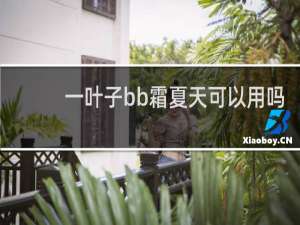 一叶子bb霜夏天可以用吗
