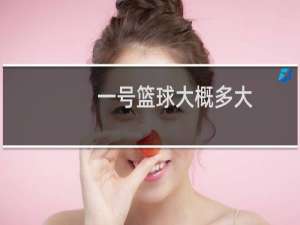 一号篮球大概多大