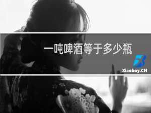 一吨啤酒等于多少瓶
