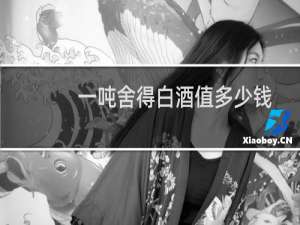 一吨舍得白酒值多少钱