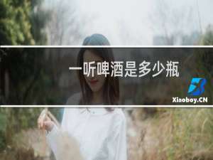 一听啤酒是多少瓶