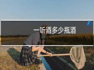 一听酒多少瓶酒