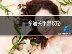 一命通关手游攻略