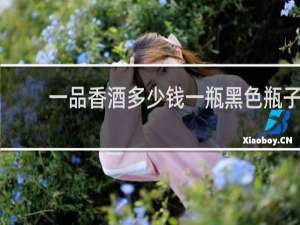 一品香酒多少钱一瓶黑色瓶子