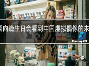 一场向晚生日会看到中国虚拟偶像的未来什么梗